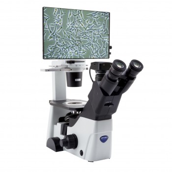 Microscopio triocular Series IM-300 invertido, de contraste de fases, OPTIKA MICROSCOPES&reg;