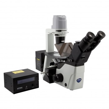 Microscopio binocular Series IM-300 invertido, de fluorescencia, OPTIKA MICROSCOPES&reg;