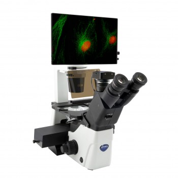 Microscopio triocular Series IM-300 invertido, de fluorescencia, OPTIKA MICROSCOPES&reg;
