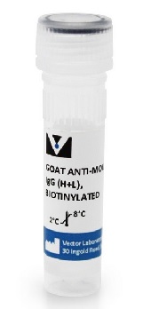 Anticuerpo IgG anti-ratn de cabra (H+L), biotinilado, 1.5 mg, VECTOR LABS