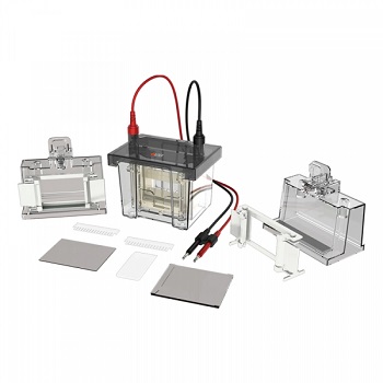 CUBETA ELECTROFORESIS VERTICAL DL-MINI01, DLAB&reg;