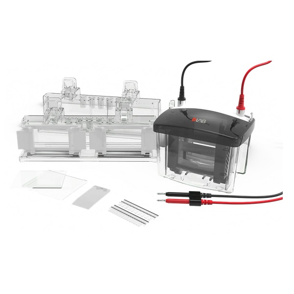 CUBETA ELECTROFORESIS VERTICAL DL-MINI04, DLAB&reg;