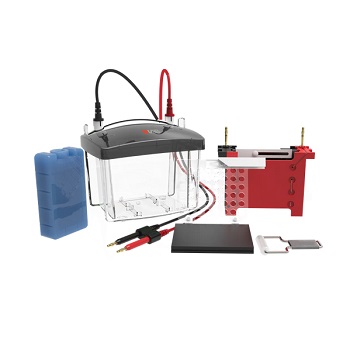 CUBETA DE TRANSFERENCIA DL-ZY03, DLAB&reg;