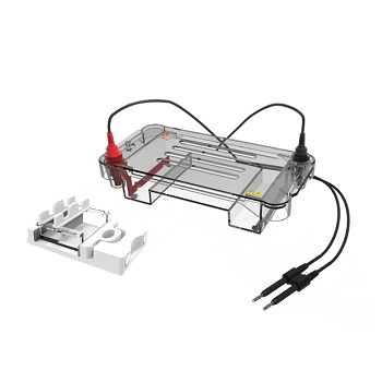 CUBETA ELECTROFORESIS HORIZONTAL DL-SUB01, DLAB&reg;