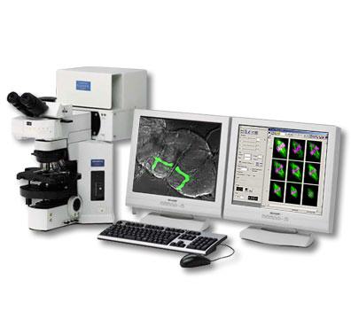 Microscopio confocal FluoView™ 1000, OLYMPUS